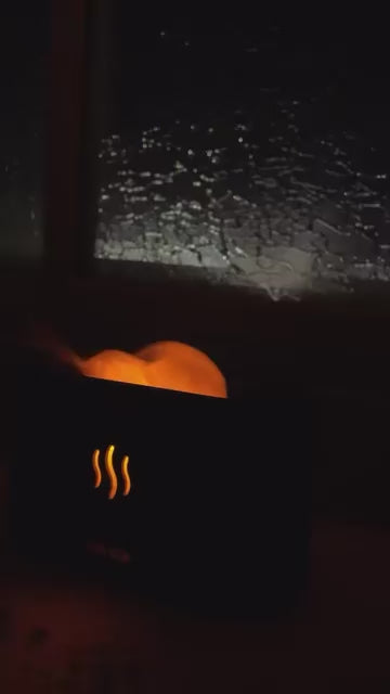 البخارة الكهربائية Pro™Encensoir électrique